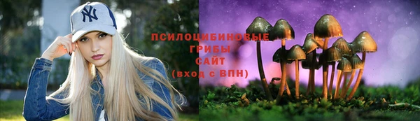 синтетический гашиш Нефтекумск