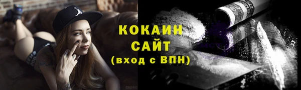 прущий лед Новозыбков