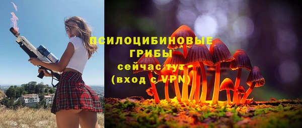 первитин Заводоуковск