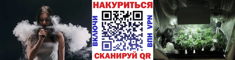 Марихуана семена  цены   Славск 